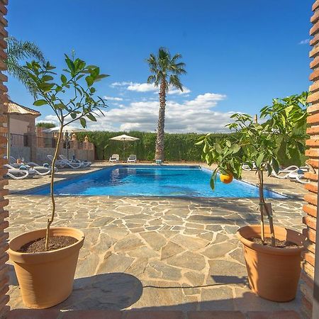 Villa Conmigo Bed & Breakfast 알하우린데라토레 외부 사진